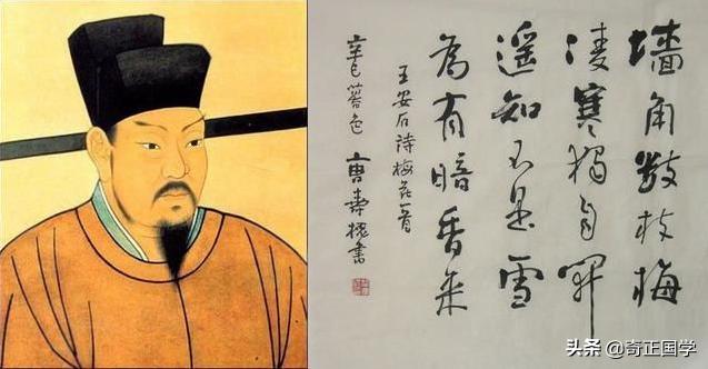 揭秘香港六合彩，开奖结果与历史记录的深度剖析,香港6合开奖结果 开奖记录