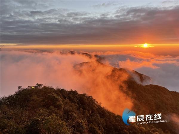 我们爱过就好 第79页