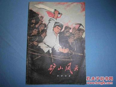 黑道风云二十年，血色浪漫的沉浮与启示,黑道风云二十年小说