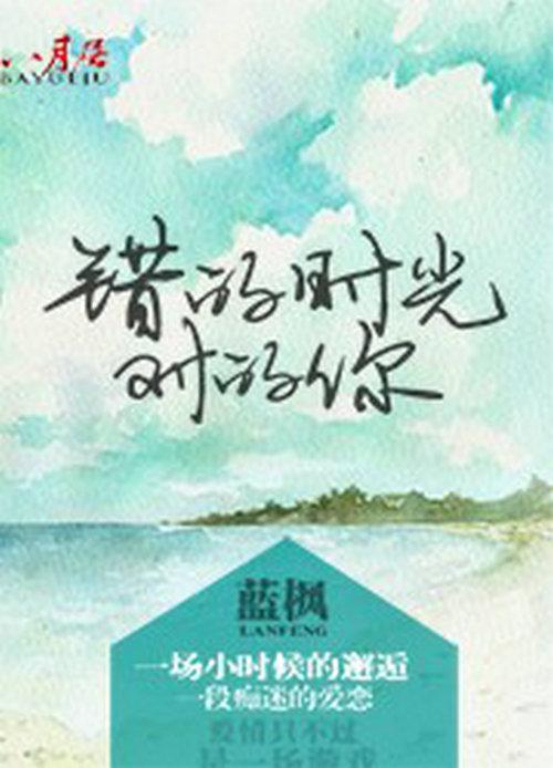 顾时念与陆霆骁，爱在时光深处悄然绽放,顾时念陆霆骁小说免费