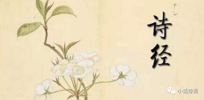 探索古典之美，诗经txt下载与文化传承,诗经 txt 下载