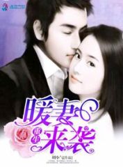 偏执狂的重生暖妻，爱在冰封之后绽放,偏执狂的重生暖妻