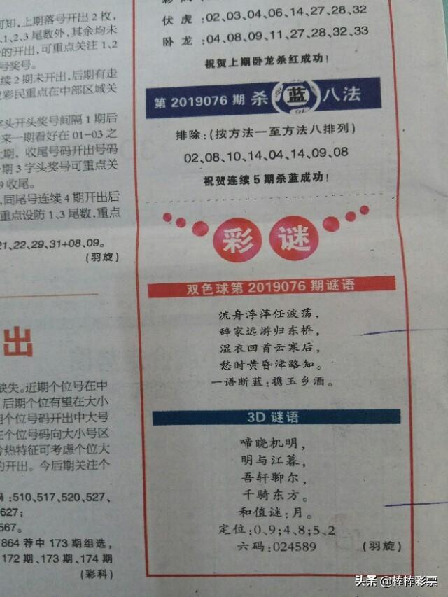 精准双色球专家预测，科学分析与理性投注的智慧,精准双色球专家预测