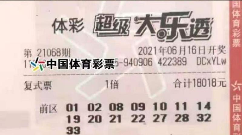 胆拖投注，解锁彩票中奖的智慧之门,胆拖怎么算中奖