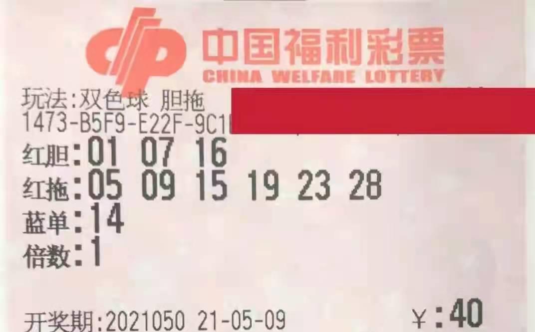 2013年双色球第8期开奖结果揭晓，幸运数字的碰撞与期待,双色球21013期开奖结果查询