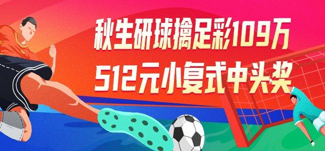 揭秘新浪足彩竞技风暴，网络足球彩票的狂热与挑战,新浪足彩竞技风暴新浪网