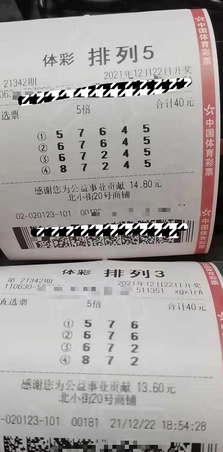 今日开奖号查询，揭秘彩票背后的数字游戏,今日开奖号查询