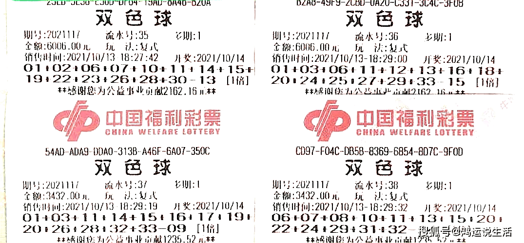 2036年，双色球——梦想与现实的交汇点,2023021期双色球