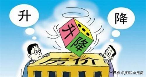 探索双色球（超长版）走势图203，数字背后的奥秘与预测艺术,双色球(超长版)走势图2003