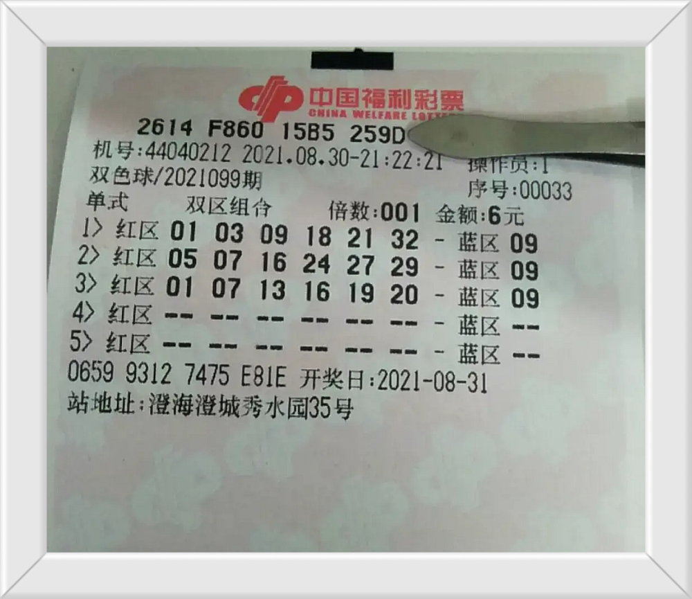 探索双色球近15期开奖号的奥秘,双色球近15期开奖号