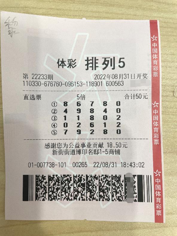 20年观察，从5到 1，解读中国彩票市场中的数字游戏——以选号策略与走势图分析为中心的探讨（基于过去36个月，即约合48期至79期的双色球’及‘大乐透’，以及延伸回历史数据中具有代表性的前述期间）,22选5走势图500期