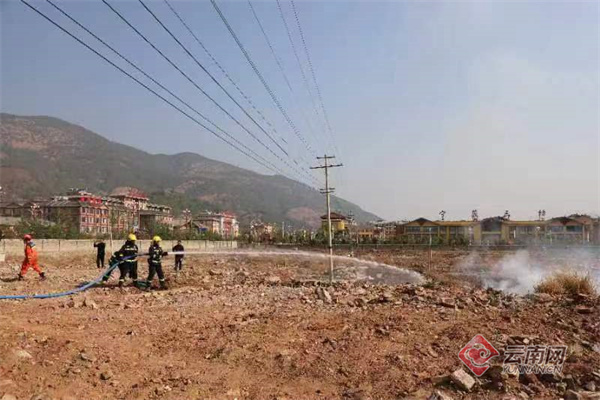 探索中国地震实时查询网，守护安全，共筑防震减灾的坚固防线,中国地震实时查询网