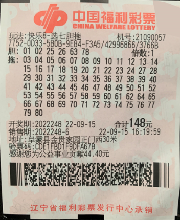 探索双色球，138号码结果查询的奥秘与乐趣,双色球开奖138号码结果查询