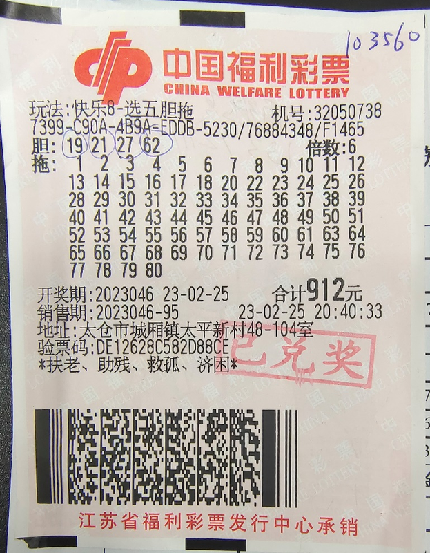 胆拖投注
