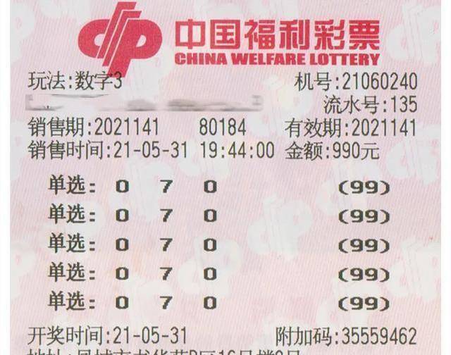 彩票与福利，一场关于希望和幸运的博弈,彩票福利彩票开奖结果