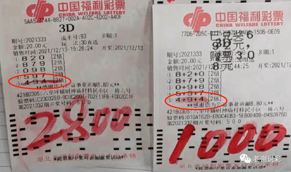 福彩3d，揭秘中奖秘诀的神秘论坛——探访中国福利彩票·三D玩家们的智慧交流平台,福彩3d彩经论坛