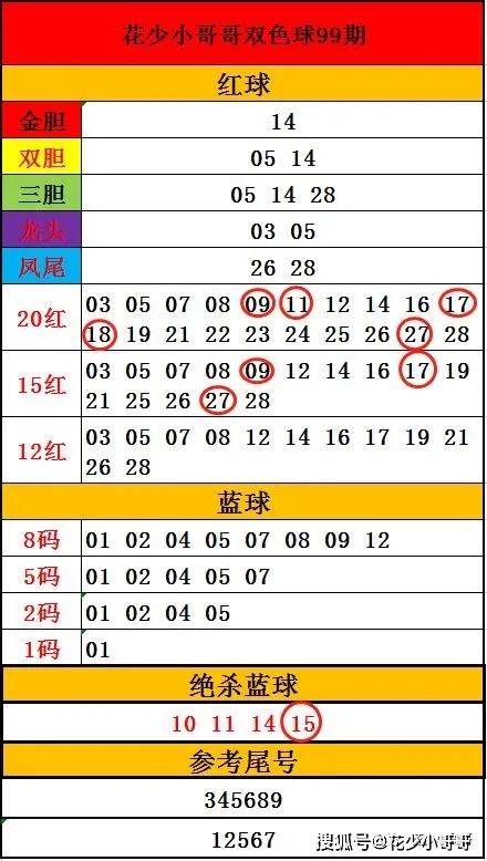 今晚双色球龙头凤尾精准预测，揭秘数字背后的玄机,今晚双色球龙头凤尾预测