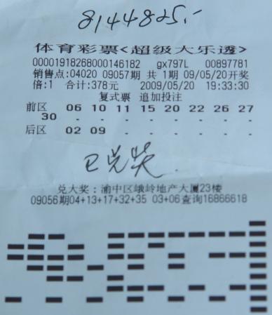 乐在其中，体彩大乐透与彩票爱好者的奇妙世界,体彩大乐透彩民乐图谜