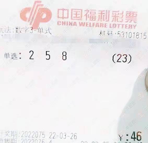 3D彩票和值计算，从基础到进阶的全面解析,3d怎么计算和值
