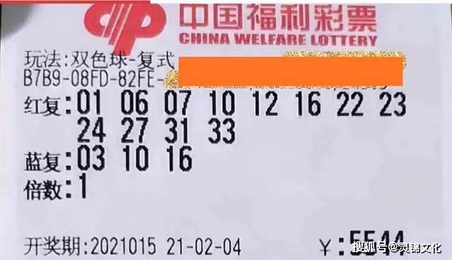 2035年，双色球第187期开奖揭秘——梦想与幸运的碰撞,2023年25期双色球开奖结果