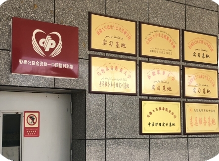 探索新疆福利彩票35选7的历史数据，揭秘中奖规律与公益力量,新疆福利彩票35选7历史数据