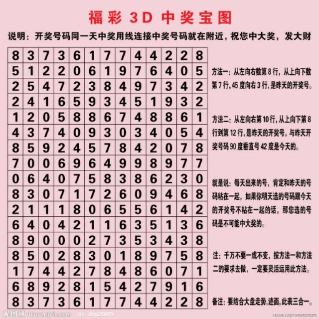 探索中国福彩电脑版首页，数字彩票的智慧与魅力,中国福彩电脑版首页