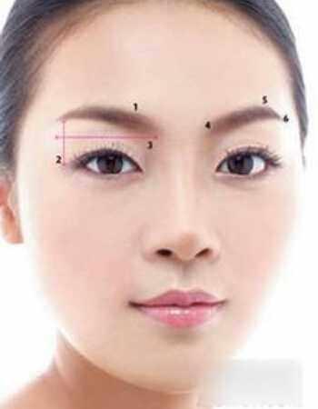 管家婆，一奖、特码与中彩的智慧管家婆一奖一特一中彩经网