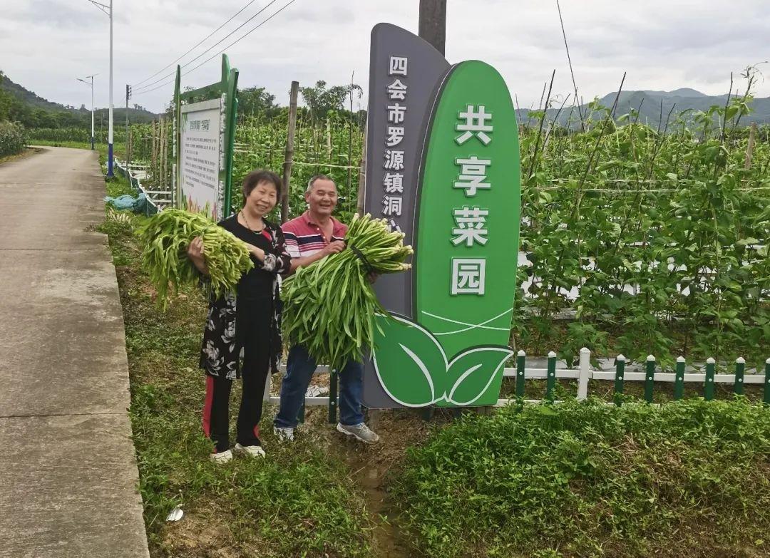 罗源新闻，乡村振兴的生动实践与未来展望罗源新闻网