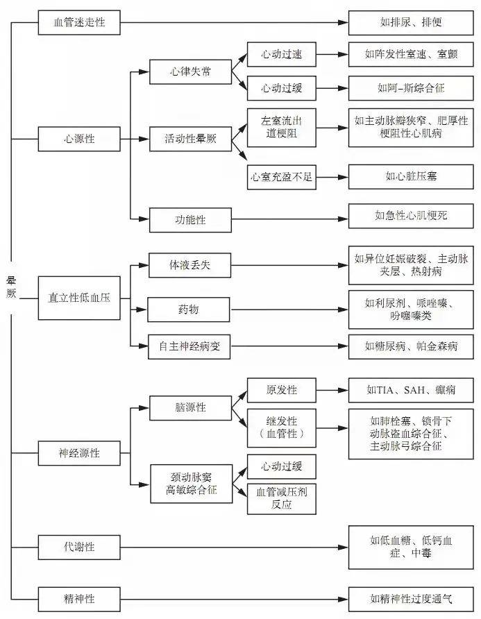 今晚必中四不像图，揭秘彩票背后的神秘与希望今晚必中四不像图片2