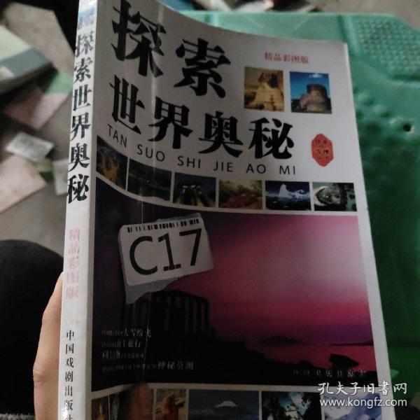 澳门必中一肖，揭秘背后的真相与理性投注的智慧澳门必中一肖一码准一肖,开来在家是主人