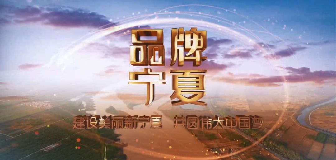 2049，新奥门王中王的传奇揭晓—未来彩票的科技与人文交融2024年新奥门王中王开奖结果4不像
