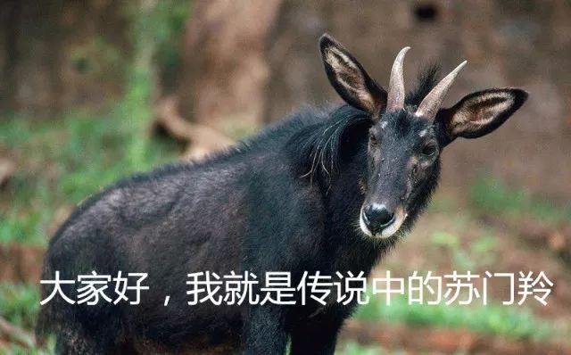 我们爱过就好 第44页