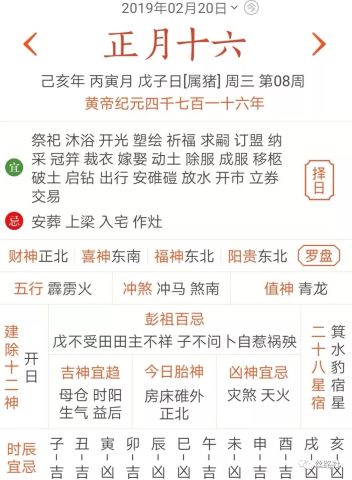 2019年正版资料大全，全年小说阅读指南正版资料大全全年2019小说2