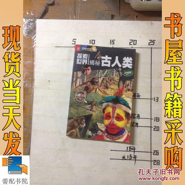 探索新跑狗高清彩图，一场视觉与乐趣的盛宴新跑狗图+高清自动更新