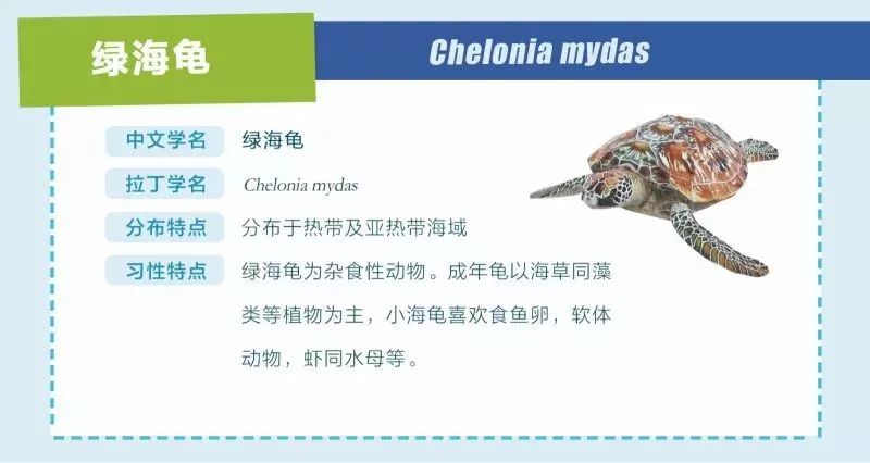 探索知识海洋，正版资料免费获取的无限可能正版资料免费资料大全下载