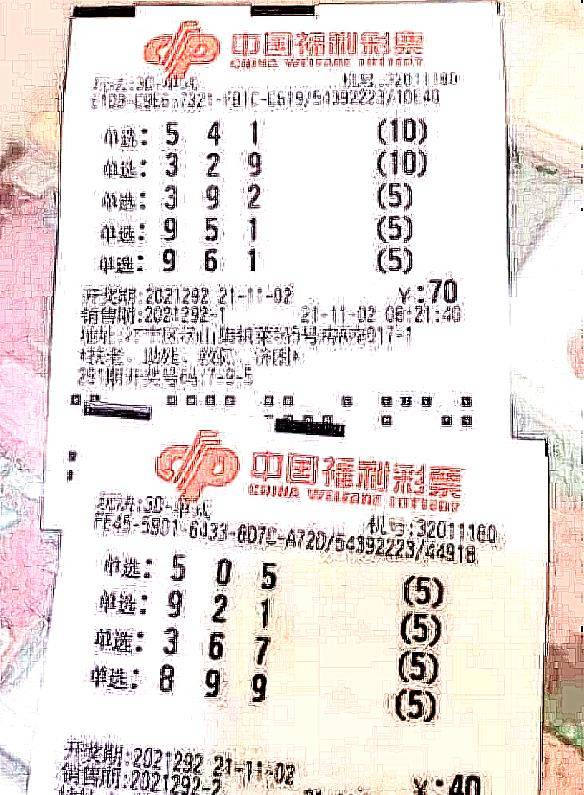 探索本期香港码开奖结果，揭秘数字背后的奥秘与期待香港今晚六给彩开奖结果今天晚上