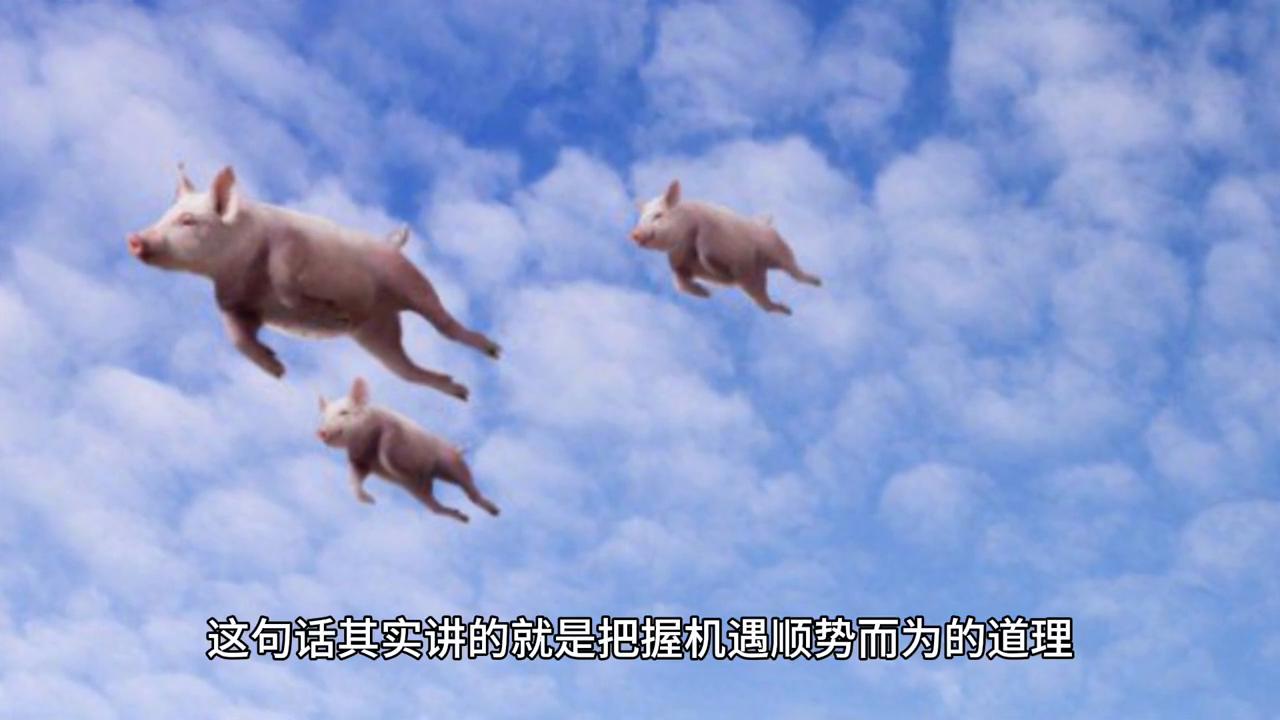 2043年今晚香港开特马，一场科技与传统的奇妙碰撞2024今晚香港开特马006期是那天