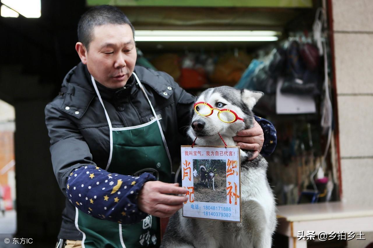 中特奥秘