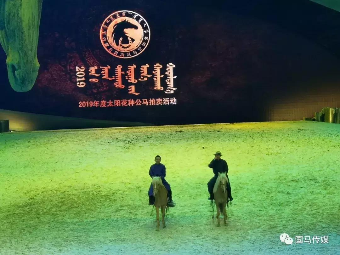 2048年香港开奖结果记录，透视未来彩票文化的演变与影响2024年香港开奖结果记录11月7号128期