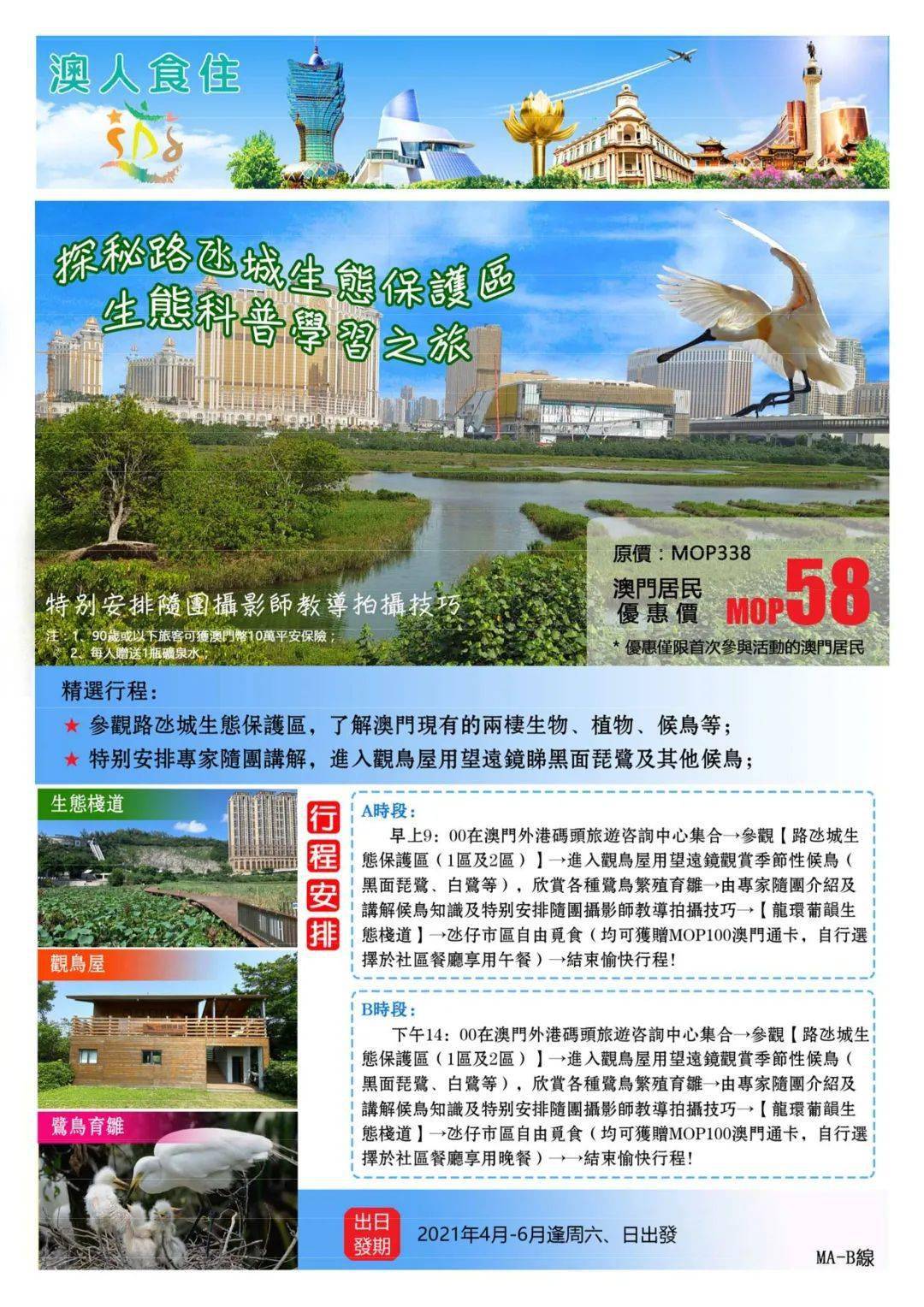 2036年澳门资讯全览，探索与展望2023澳门资料大全免费老版118