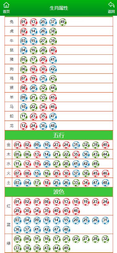 澳门王中王的六码与生肖，一场数字文化的奇妙之旅澳门王中王六码六肖中特六