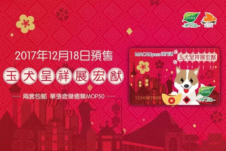 2048年澳门正版资料大全，生肖卡揭秘与未来展望2o21年澳门资料大全