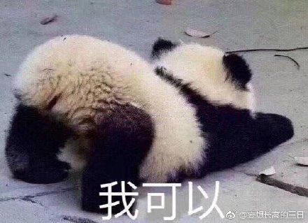 今晚必二肖四不像