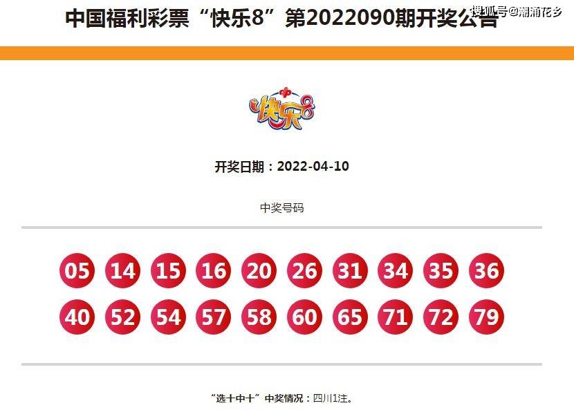 6合开奖记录，透视数字背后的奥秘与乐趣6合开奖记录下载