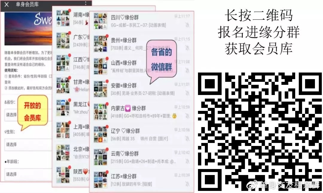 曾夫人论坛752，网络社区的深度探索与文化交流曾夫人论坛ww7822数理分析