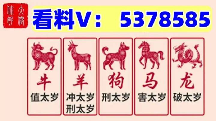 探索香港六合彩的魅力，今晚开奖结果查询全攻略香港码今晚开奖结果查询表
