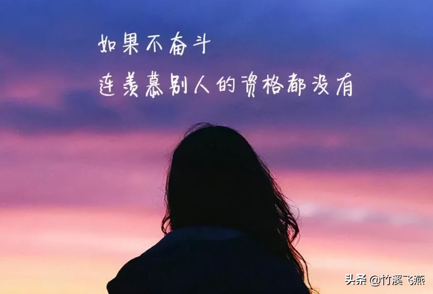 2015年六和合彩，一场数字与梦想的交织6合和彩开奖时间