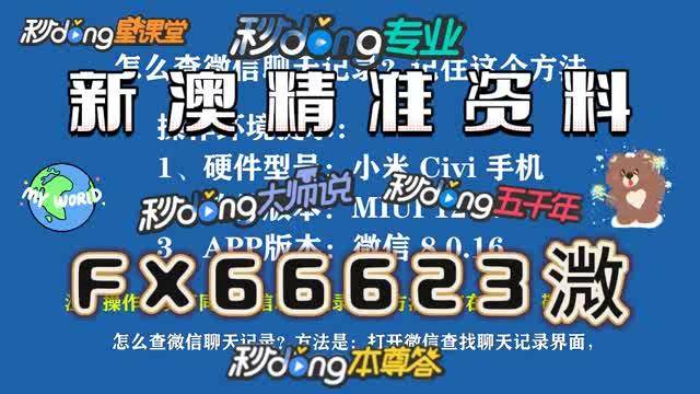 精准一码，新澳内部资料的价值与挑战澳门内部正版资料2011