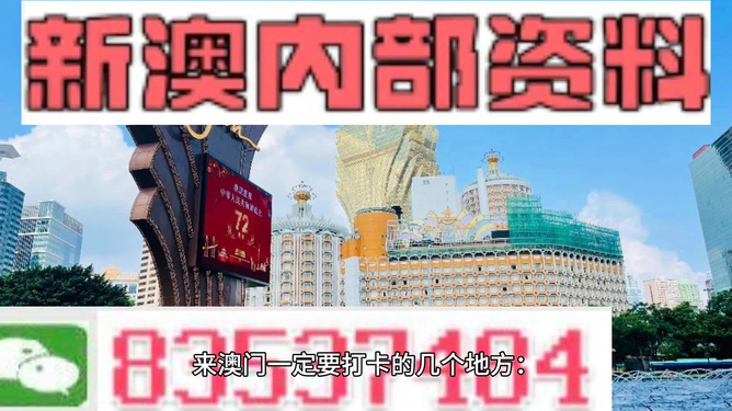 澳门精准资料，期期的精确洞察与未来展望新澳门精准免费大全