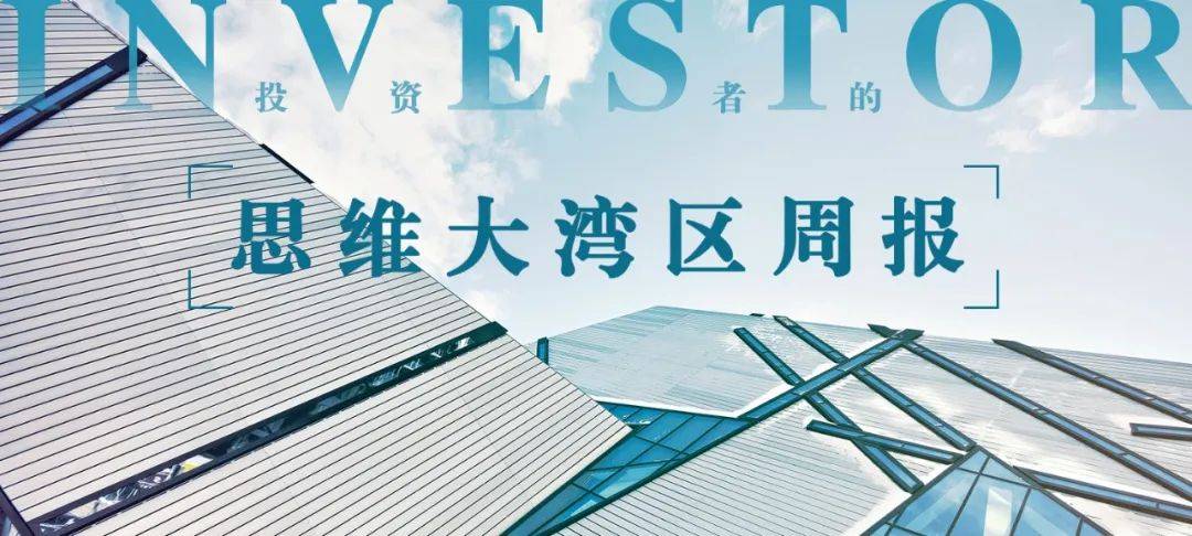 澳门2035最准免费资料大全，揭秘未来趋势与策略指南澳门2023最准免费资料大全葡京一技枝花